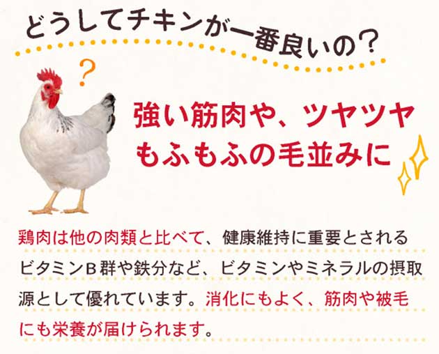 鶏肉の栄養について画像③
