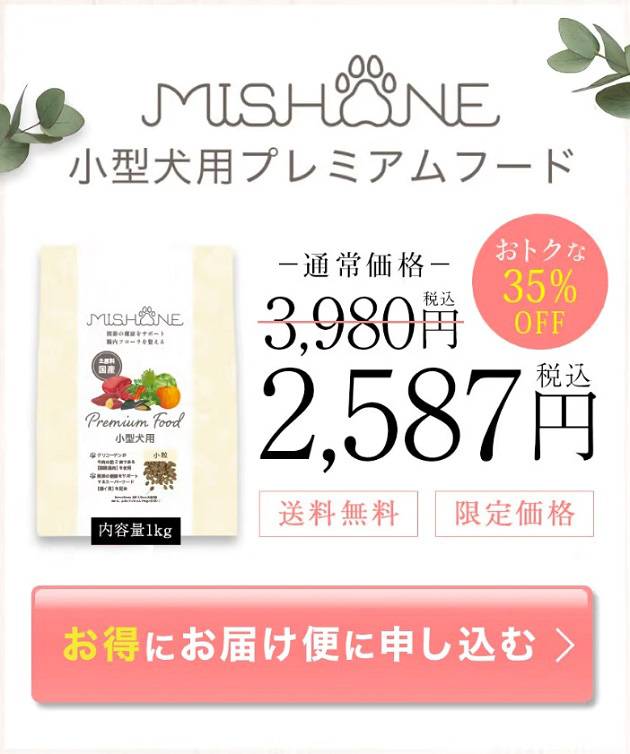 オファー